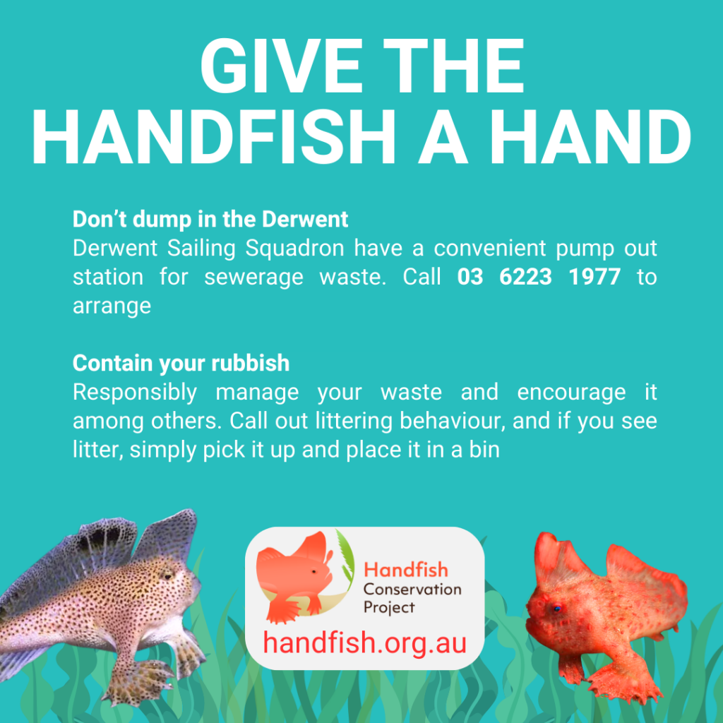 16. Increase Awareness of Wildlife and Habitat Protection<br>Best Practice #7 outlines our collaboration with the Handfish Conservation project. The waterways at our race finish destination contain habitat of the critically endangered Handfish, We presented a series of infographics identifying the species and reasons why they are critically endangered. We also identified actionable measures that boaters can take to reduce impact to the local environment while in the area. 