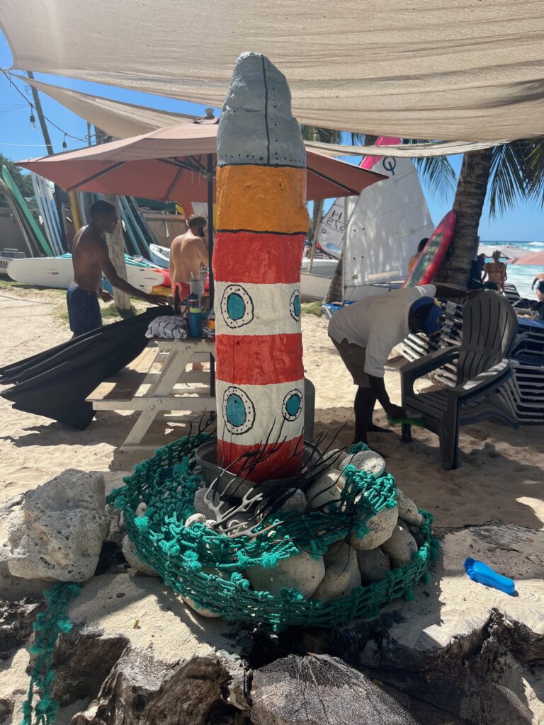 8. Post Educational and Reusable Signage<br>All signage is reusable, made of pieces of driftwood and handpainted by a local artist - Jason Cole.