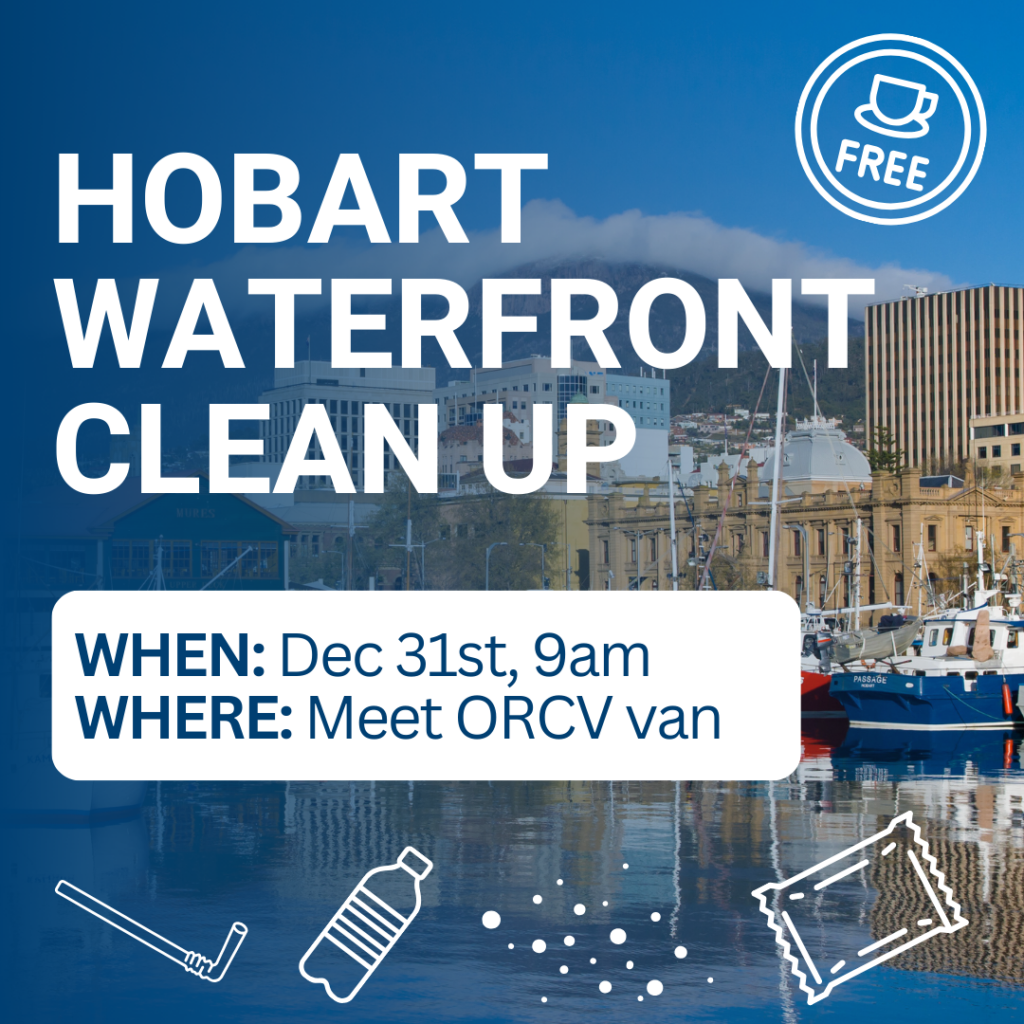 14. Host a Beach or Marina Cleanup<br>A waterfront clean up was undertaken by the ORCV
