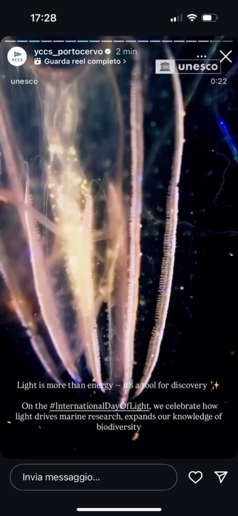 16. Increase Awareness of Wildlife and Habitat Protection<br>16)To raise awareness about marine wildlife, we promoted UNESCO