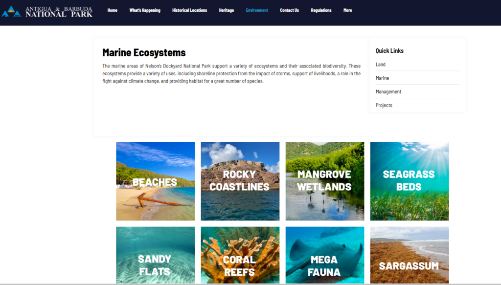 16. Increase Awareness of Wildlife and Habitat Protection<br>Antigua National Parks are supported by Oyster. We heavily support the national park Nelson’s Dockyard by holding our regatta inside this historic location. We also help to promote the Coral Restoration and Turtle Conservation projects on the island.   
Boaters are made aware that this site is a UNESCO heritage site and promotes its own diverse marine ecosystems, including coral reefs and seagrass beds.
