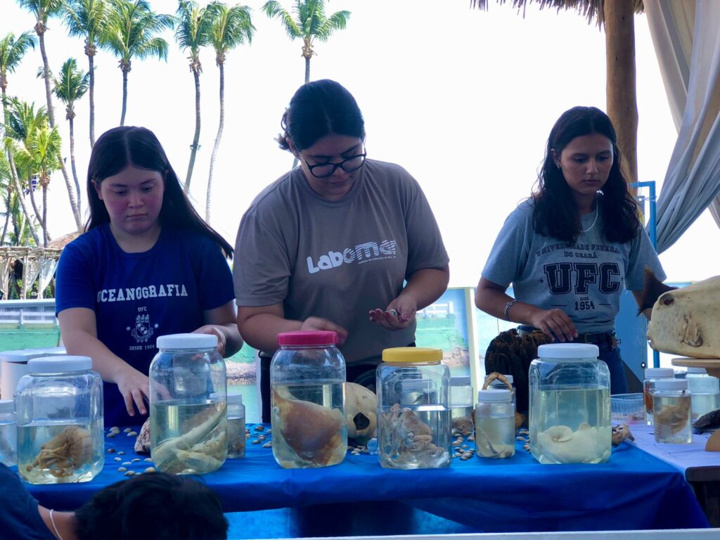 20. Inspire Future Action<br>