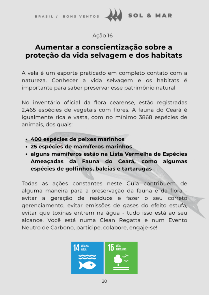 20. Inspire Future Action<br>