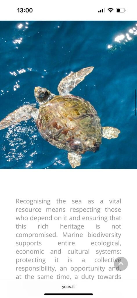 16. Increase Awareness of Wildlife and Habitat Protection<br>To increase awareness of wildlife and habitat protection, during the Maxi Yacht Rolex Cup we have published, in the YCCS Magazine, an article about World Maritime Day 2025, which explains why the ocean is so important, why we must protect its biodiversity, and how we can promote sustainable use of the sea