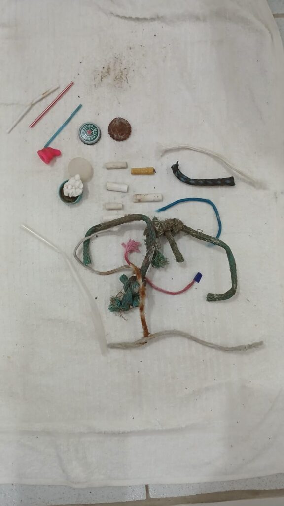 1. Eliminate Single-Use Water Bottles and Provide Water Refill Stations<br>