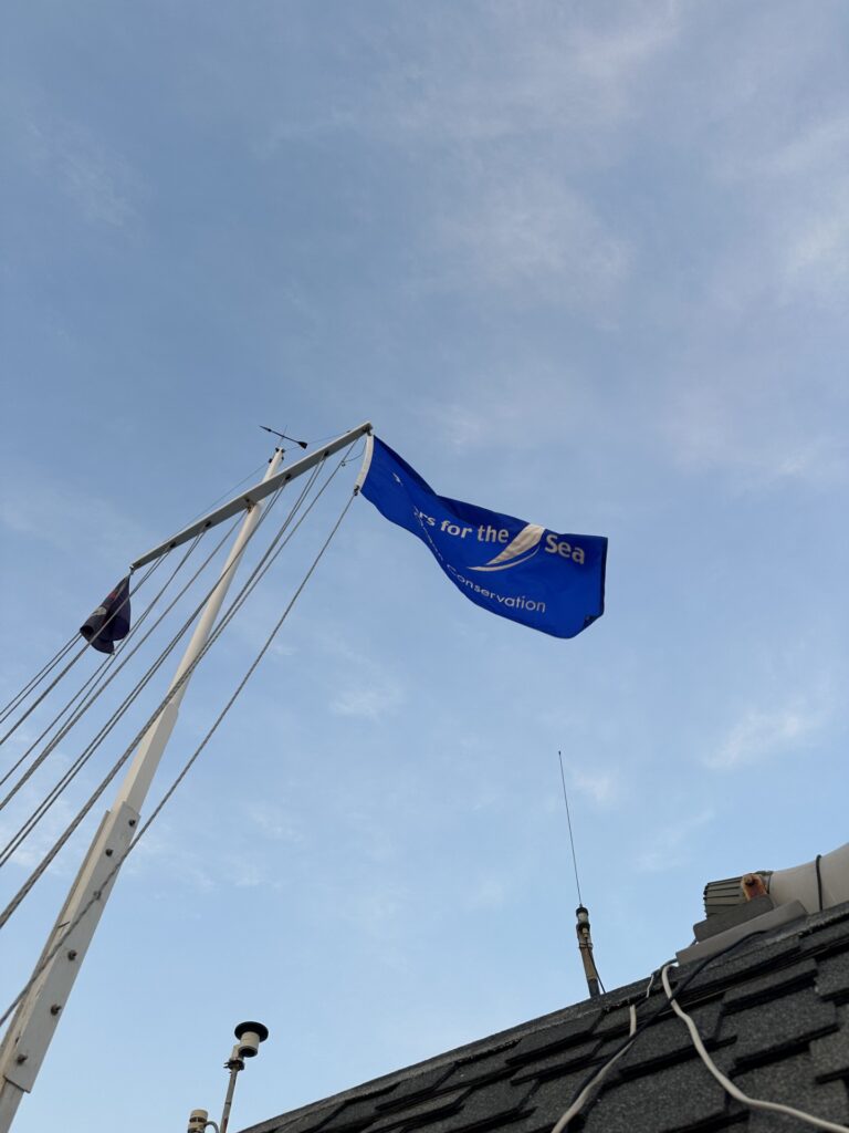 6. Publicize Your Sustainability Efforts<br>While we do not have a photo, Skipper D