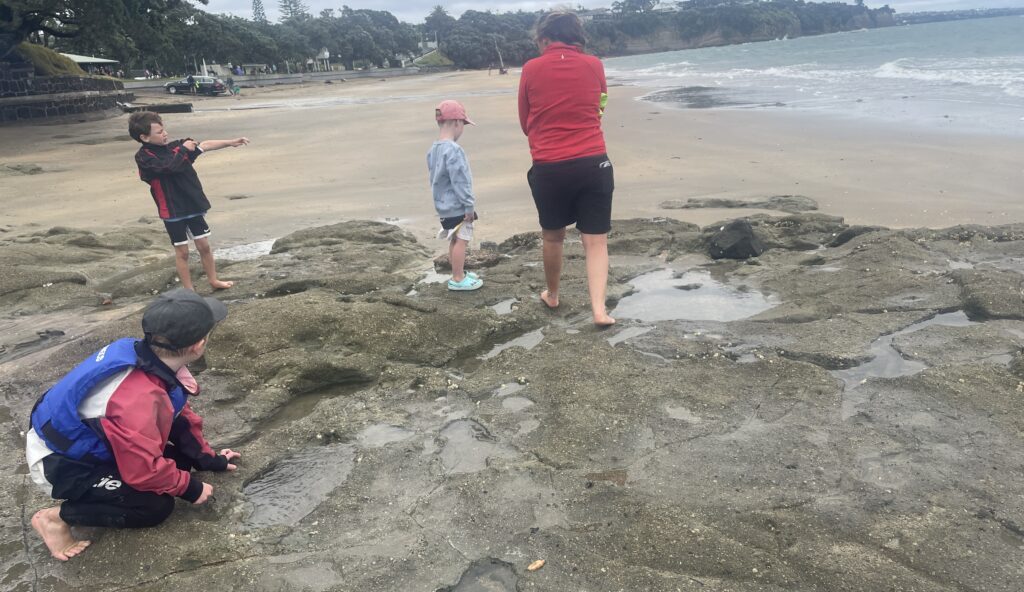 14. Host a Beach or Marina Cleanup<br>Educational trip with younger sailors to the tide pools at low tide, exploring the intertidal zone and seeing what life there is. Marine exercise on shellfish/cockles holding their breath as tide comes in and out.