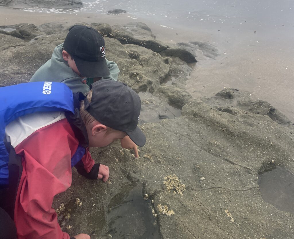 14. Host a Beach or Marina Cleanup<br>Educational trip with younger sailors to the tide pools at low tide, exploring the intertidal zone and seeing what life there is. Marine exercise on shellfish/cockles holding their breath as tide comes in and out.
