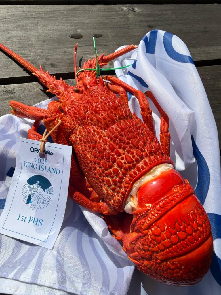 5. Award Practical Items or Use a Perpetual or Upcycled Trophy<br>Boats that received prizes were awarded locally caught King Island seafood (rock lobster), locally made cheese, hats and the overall prize is a perpetual trophy.