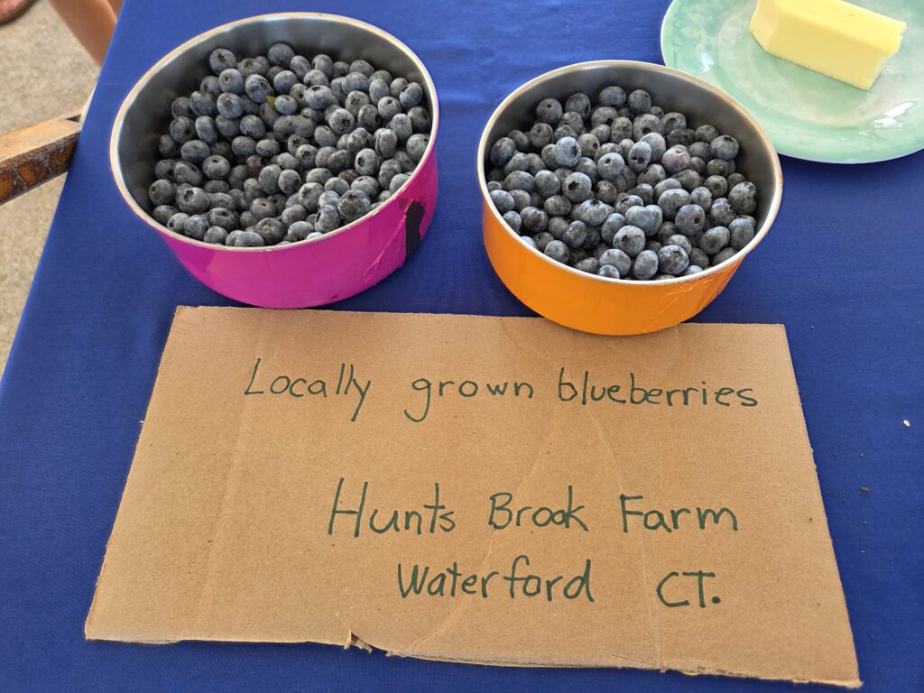 17. Offer Vegetarian or Vegan Alternatives<br>Breakfast and reception included large bowls of locally grown blueberries, cucumbers, and carrots. Breakfast was 100% vegetarian.