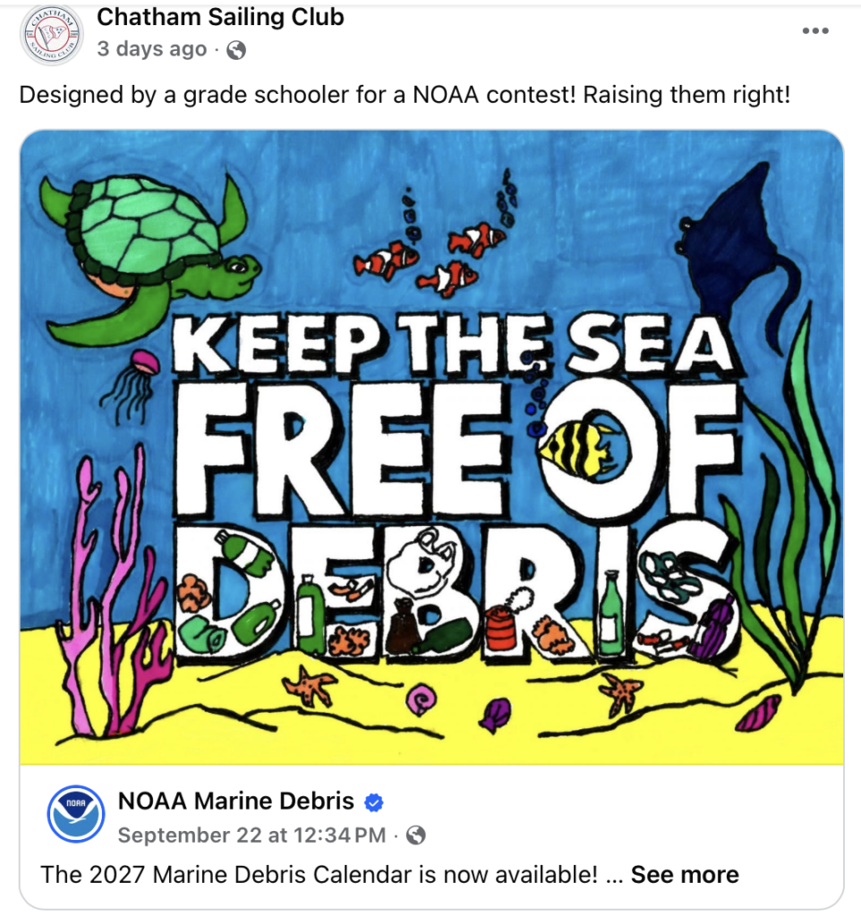 16. Increase Awareness of Wildlife and Habitat Protection<br>This is an ongoing effort via social media. Many of us attend lectures and films held around town. We are all very aware of loggerhead turtles, diamondback terrapins (just did a release of hatchlings) and especially the Atlantic Right Whales who calve here.